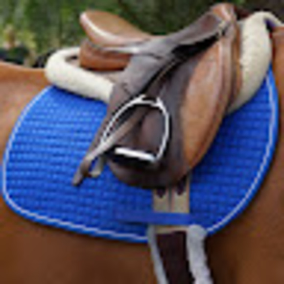 Meet your Posher, Caitlin - Picture 1 of 1